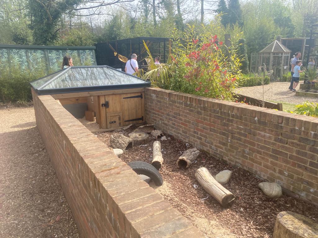 Three Banded Armadillo Enclosure