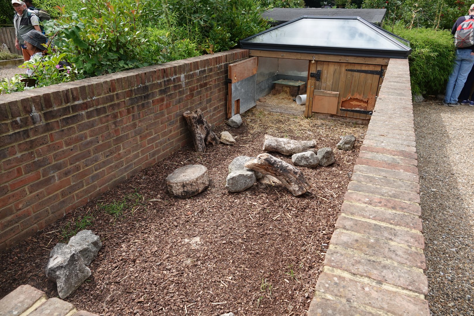 Three-banded armadillo enclosure