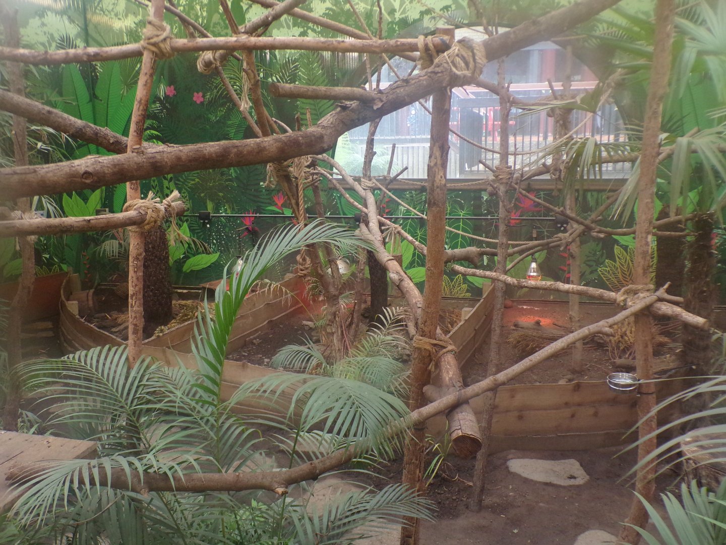 Three banded armadillo enclosures 25.8.24