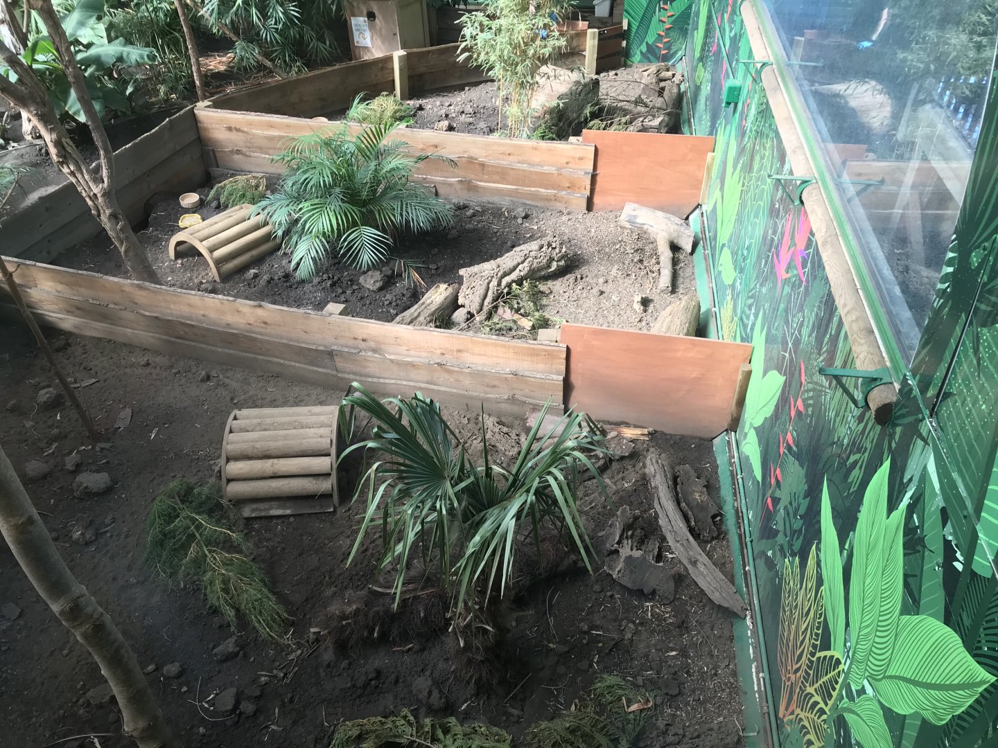 Three banded armadillo enclosures