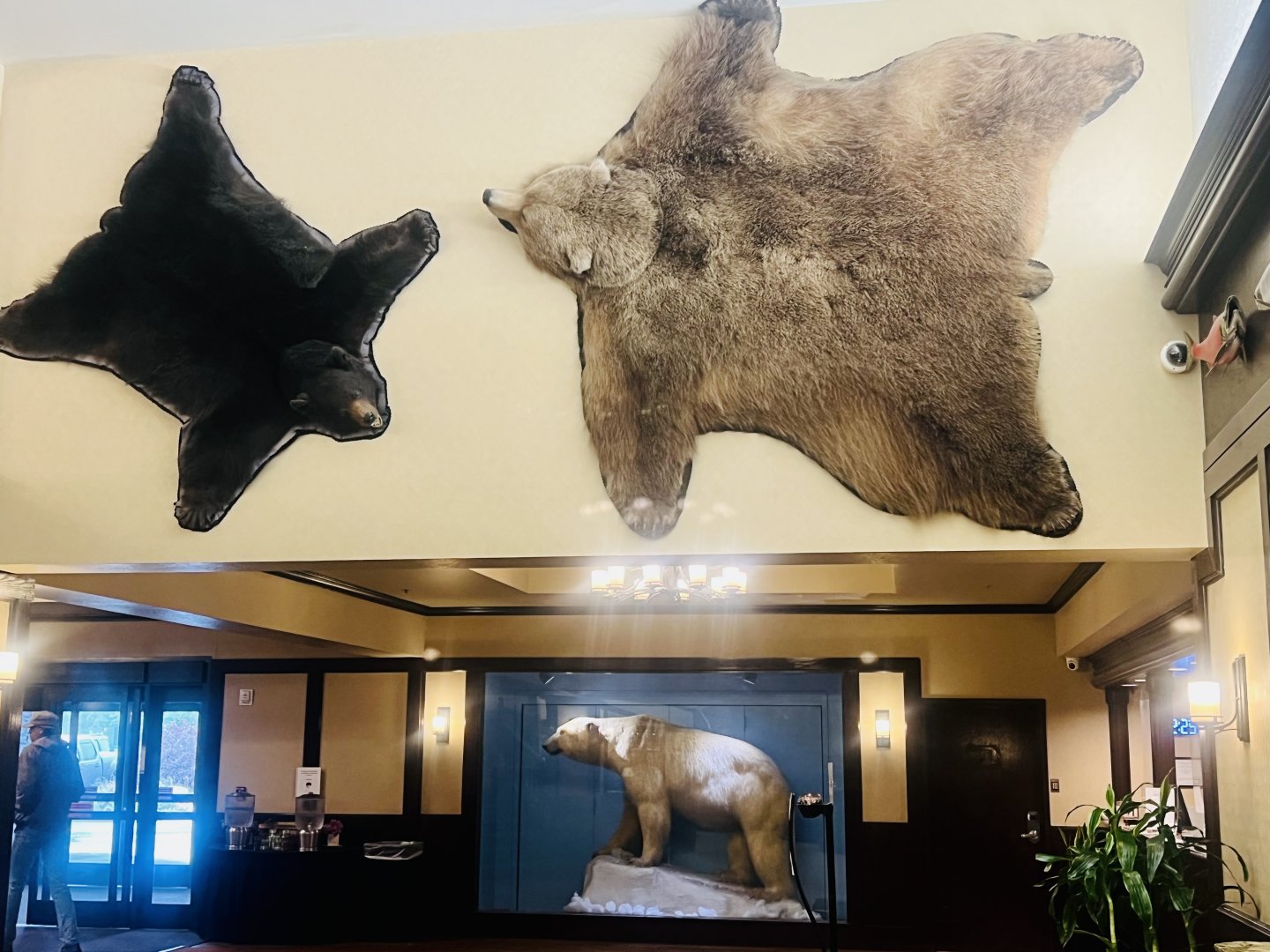 Three Bears Alaska - Anchorage Lakefront Hotel