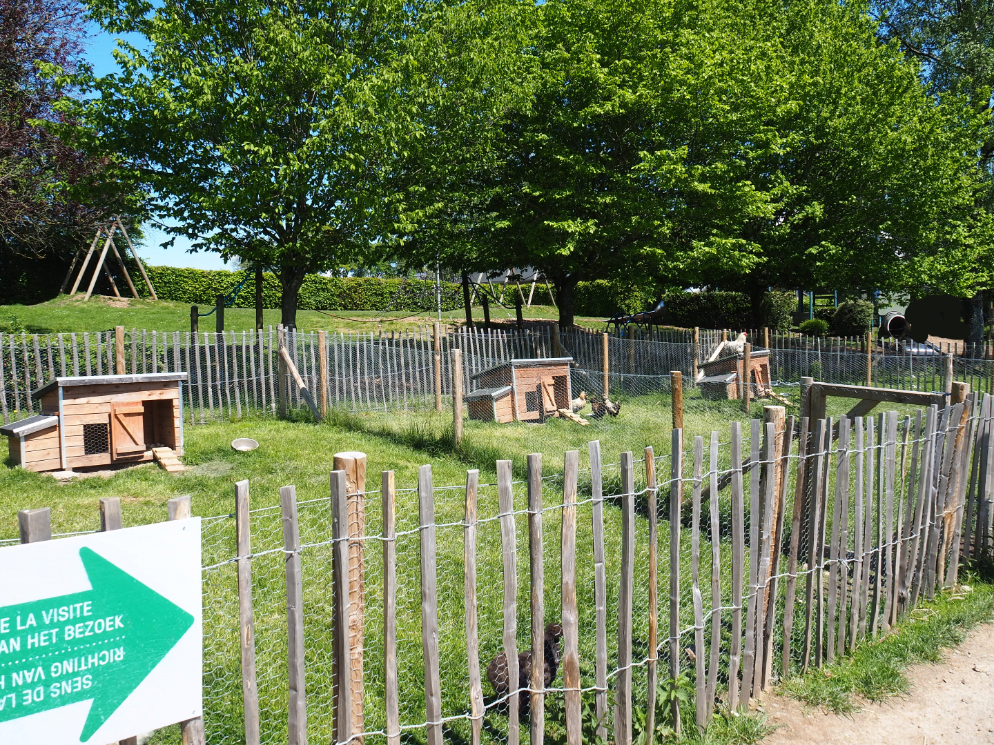 Three chicken pens, 2021-05-29