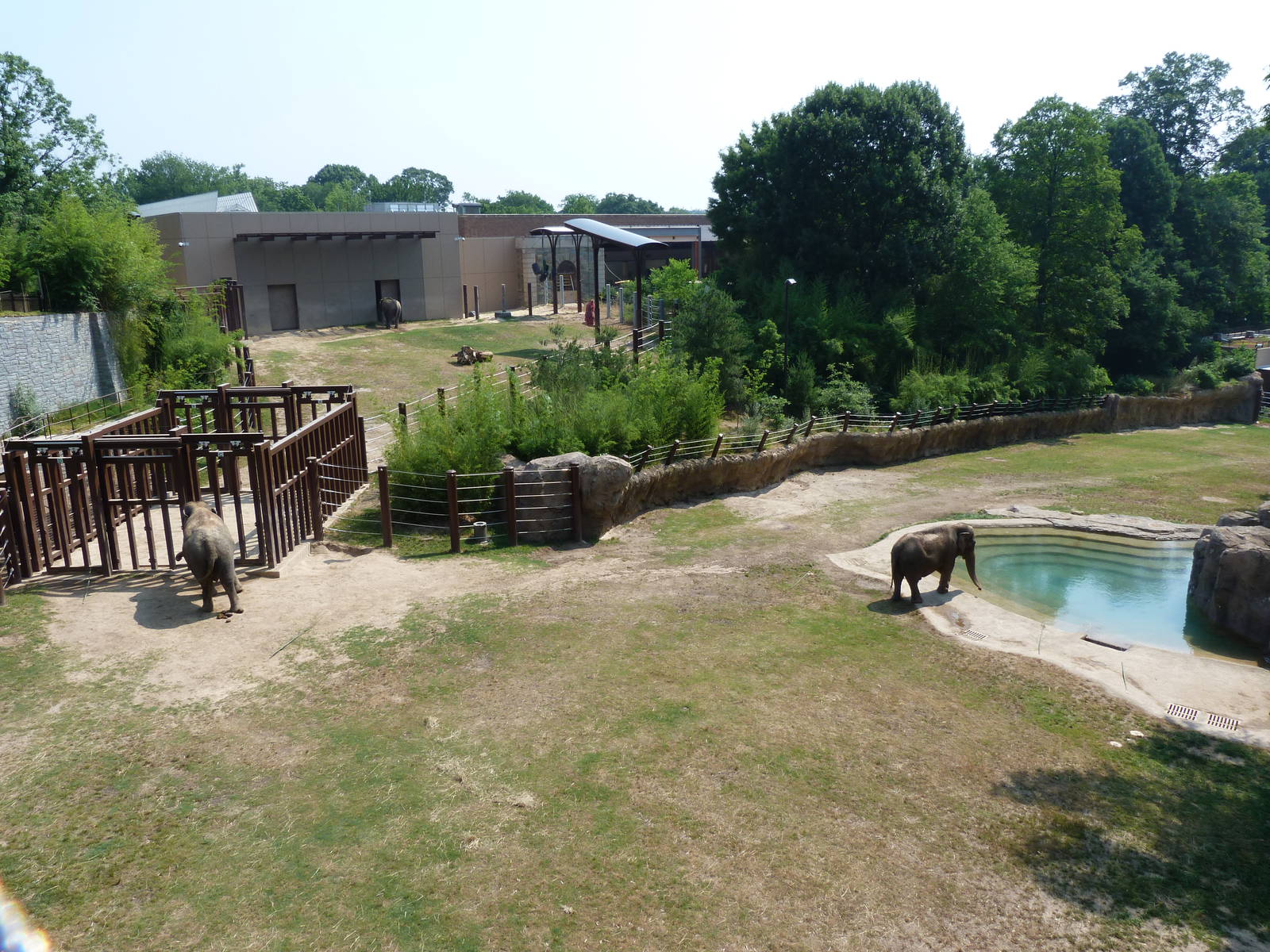 Three Elephants in their Exhibits