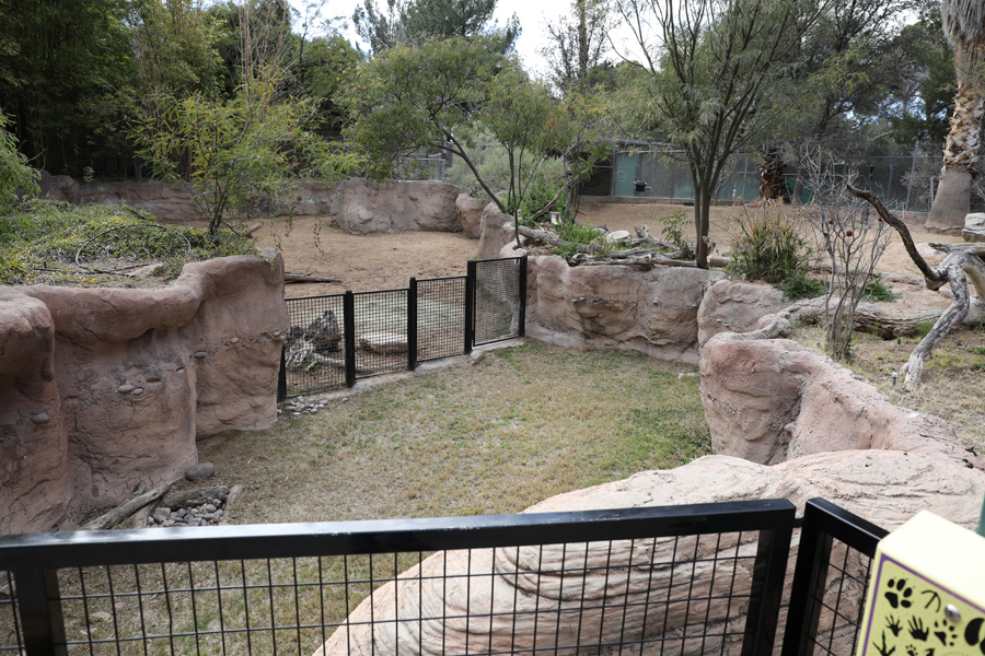 Three exhibits in South America