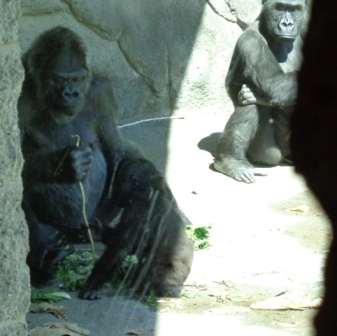 Three Generations: Zakula, Ivan, and Moka