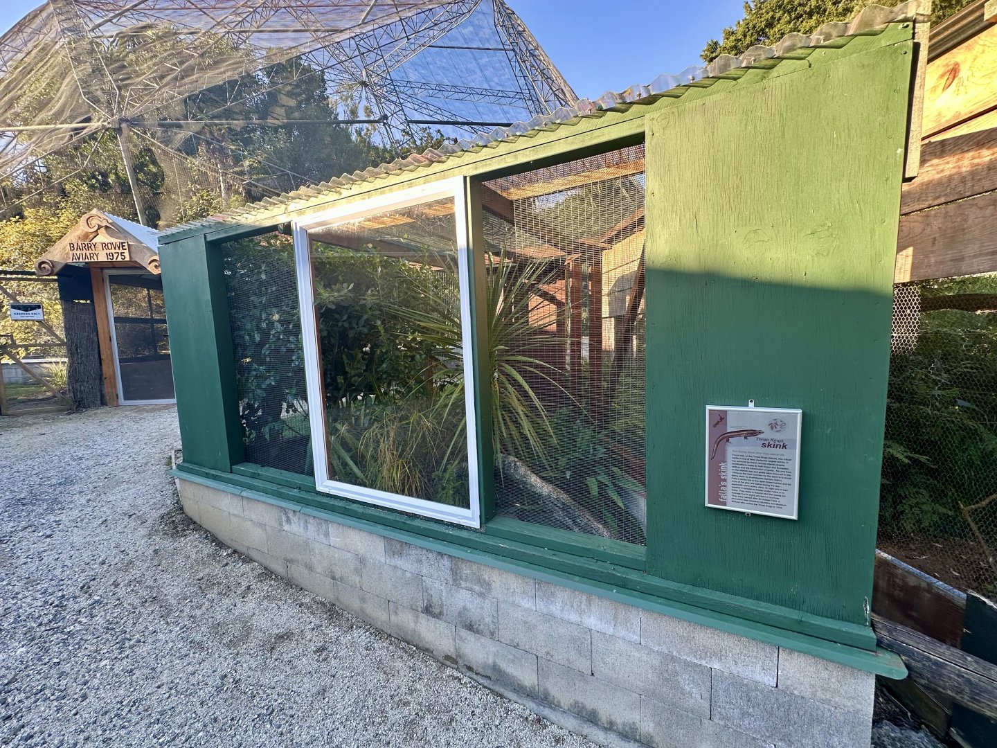 Three Kings Skink Exhibit