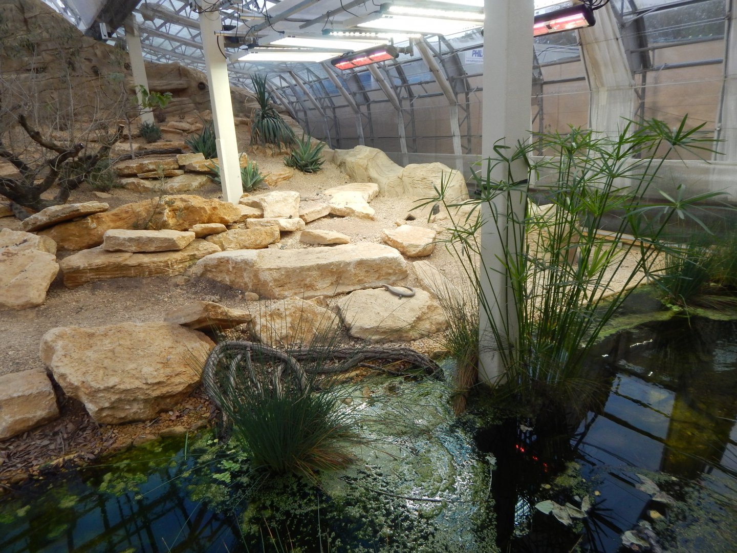 Thriving Through Nature 121223