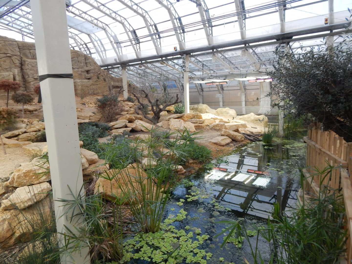 Thriving Through Nature 121223