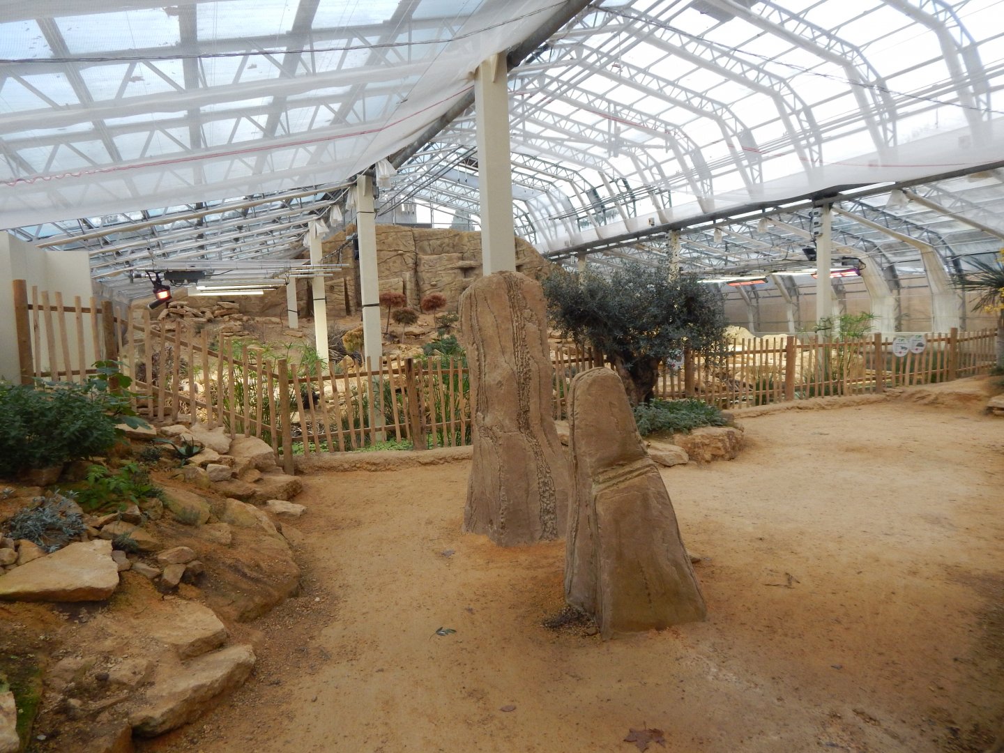 Thriving Through Nature 121223