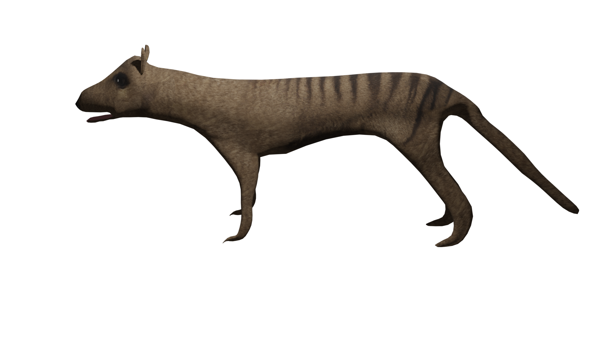 Thylacine 2.0