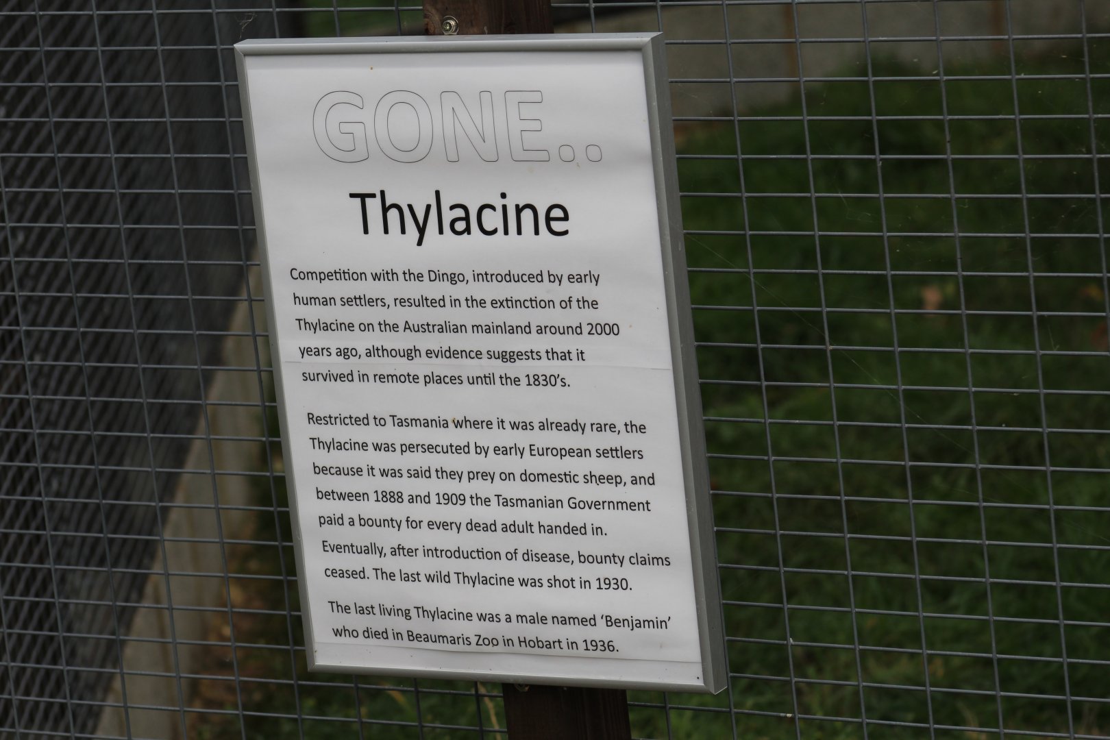 Thylacine Extinction Sign