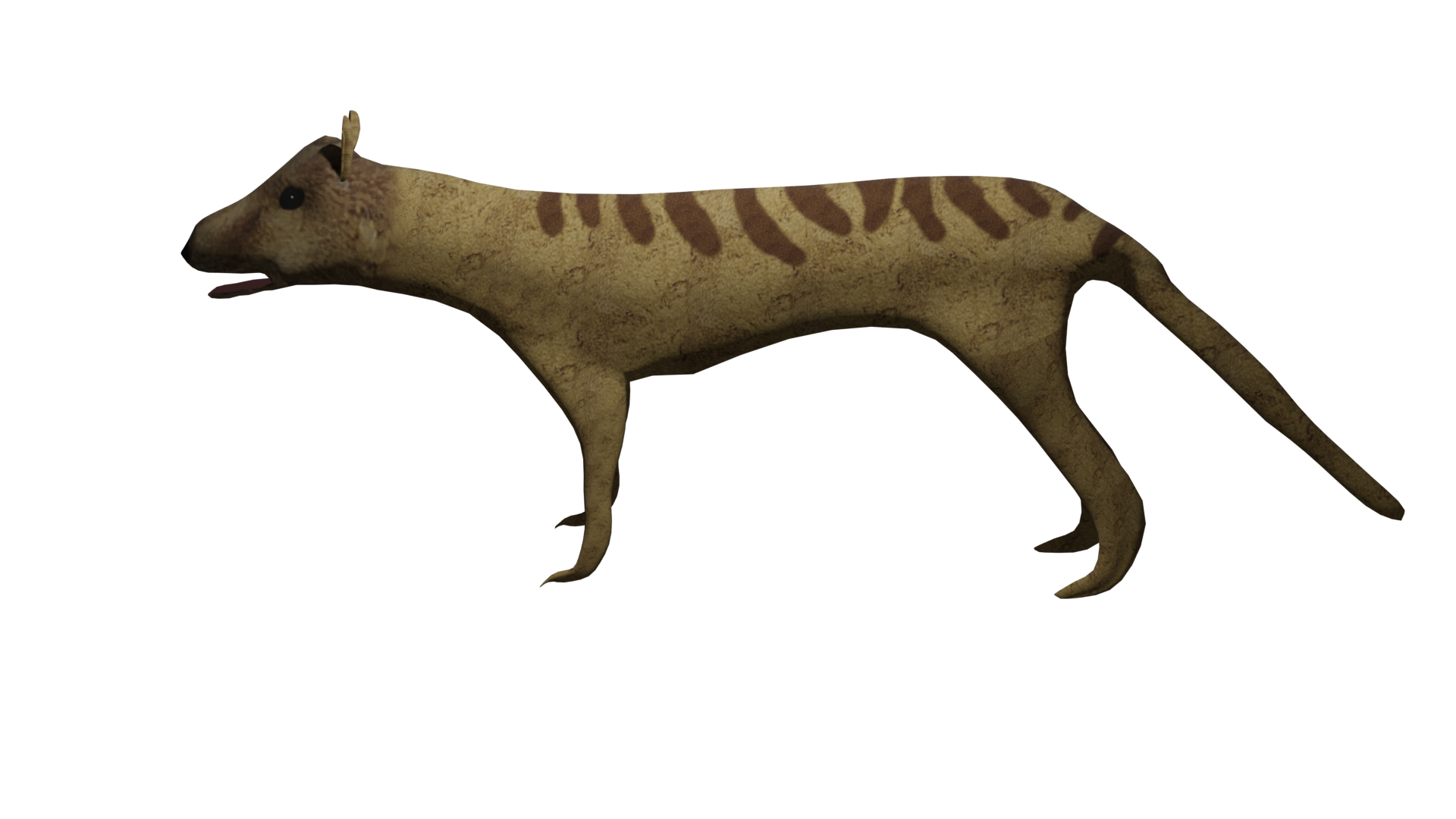Thylacine Render