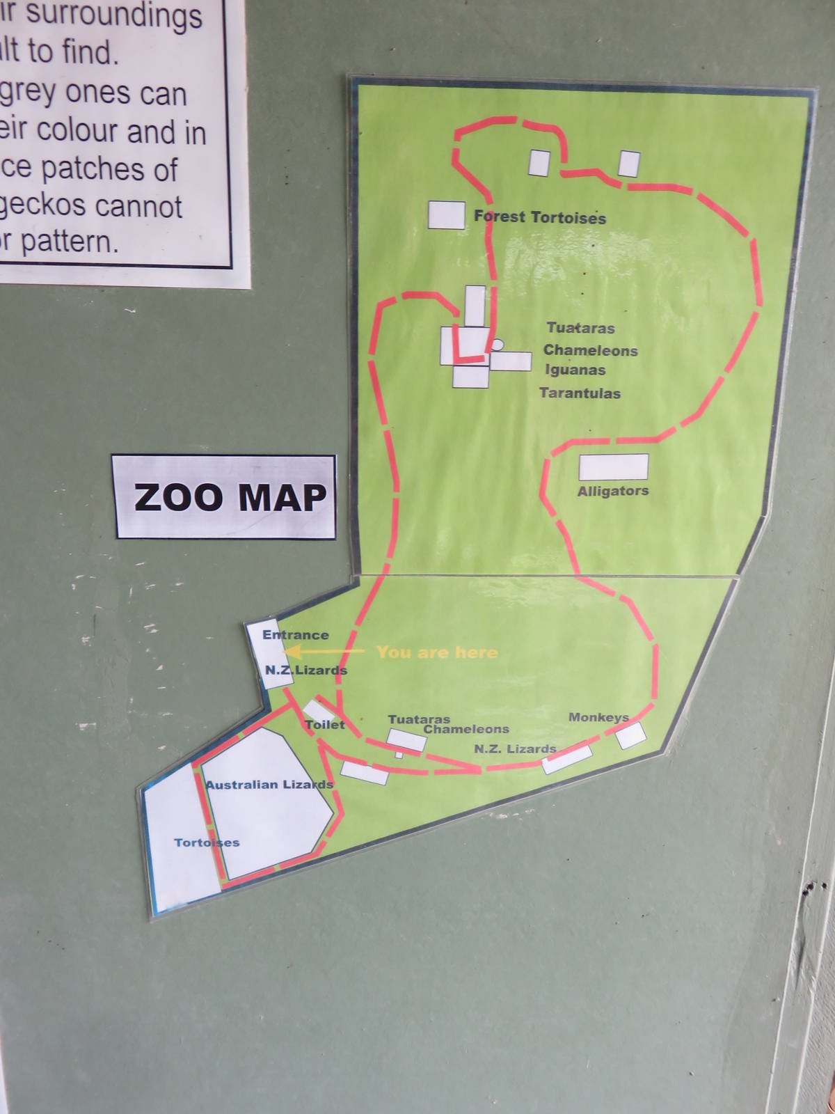Ti Point Reptile Park Map