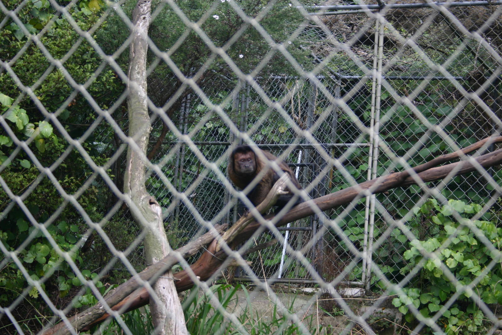 Ti Point Reptile Park