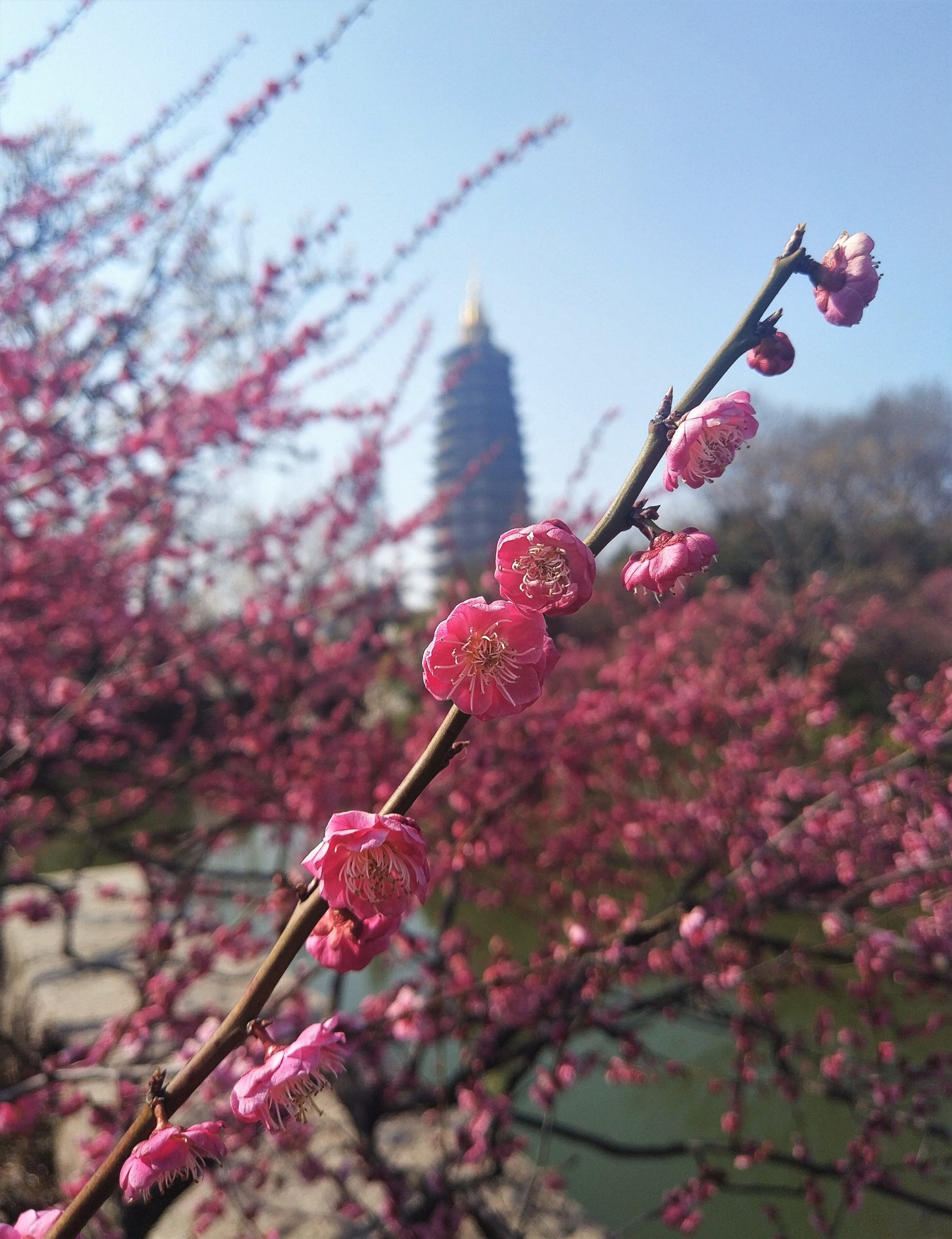 Tianning Temple, Changzhou