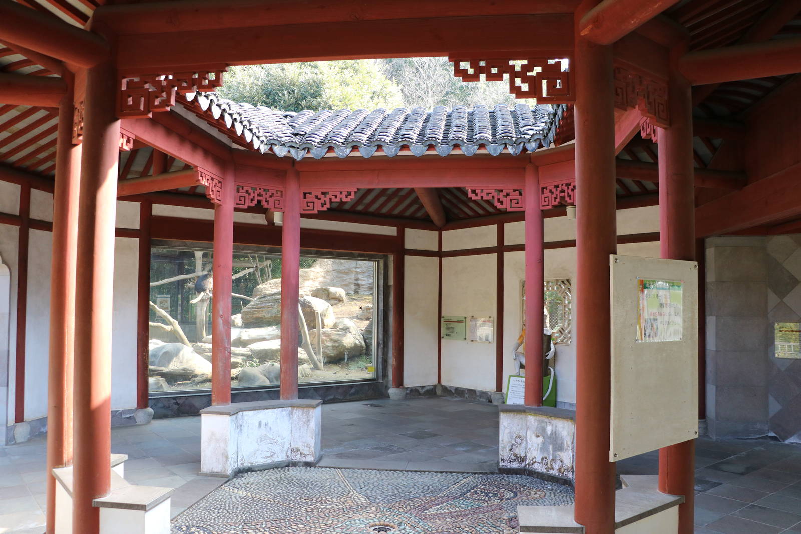 Tibetan macaque viewing area, February 2016
