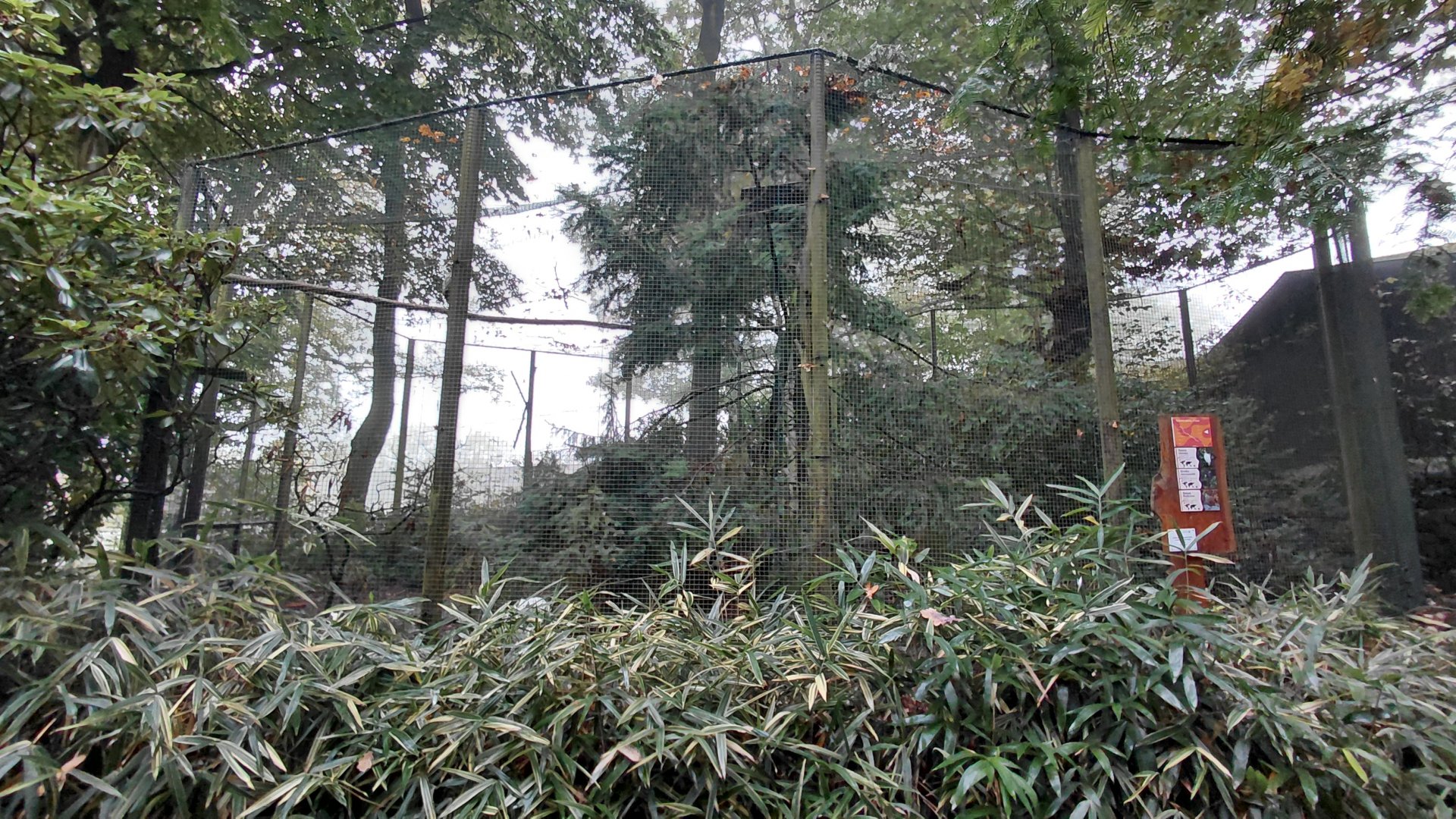 Tibetan Plateau aviary