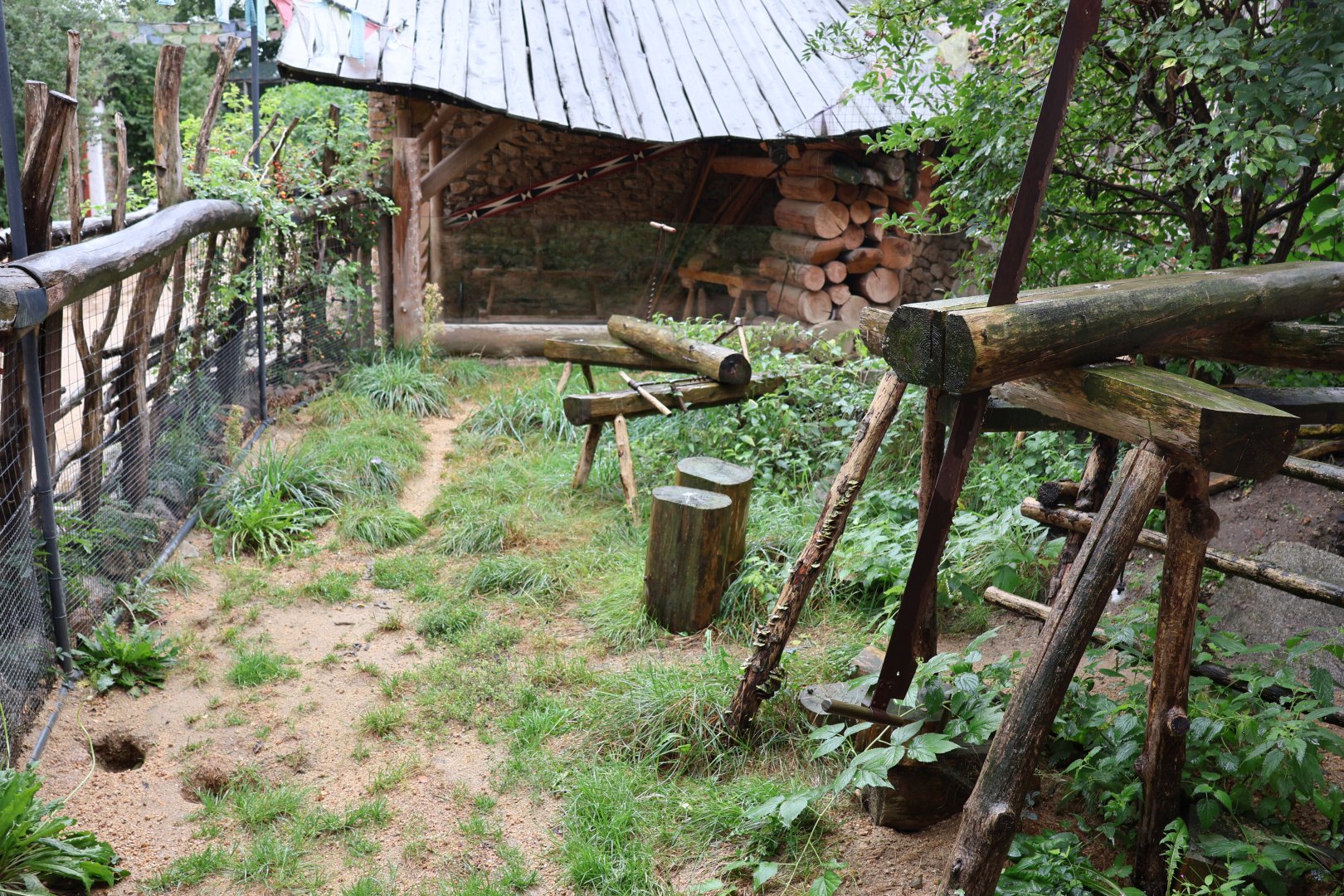 Tibetan Village - Corsac Fox (left) enclosure