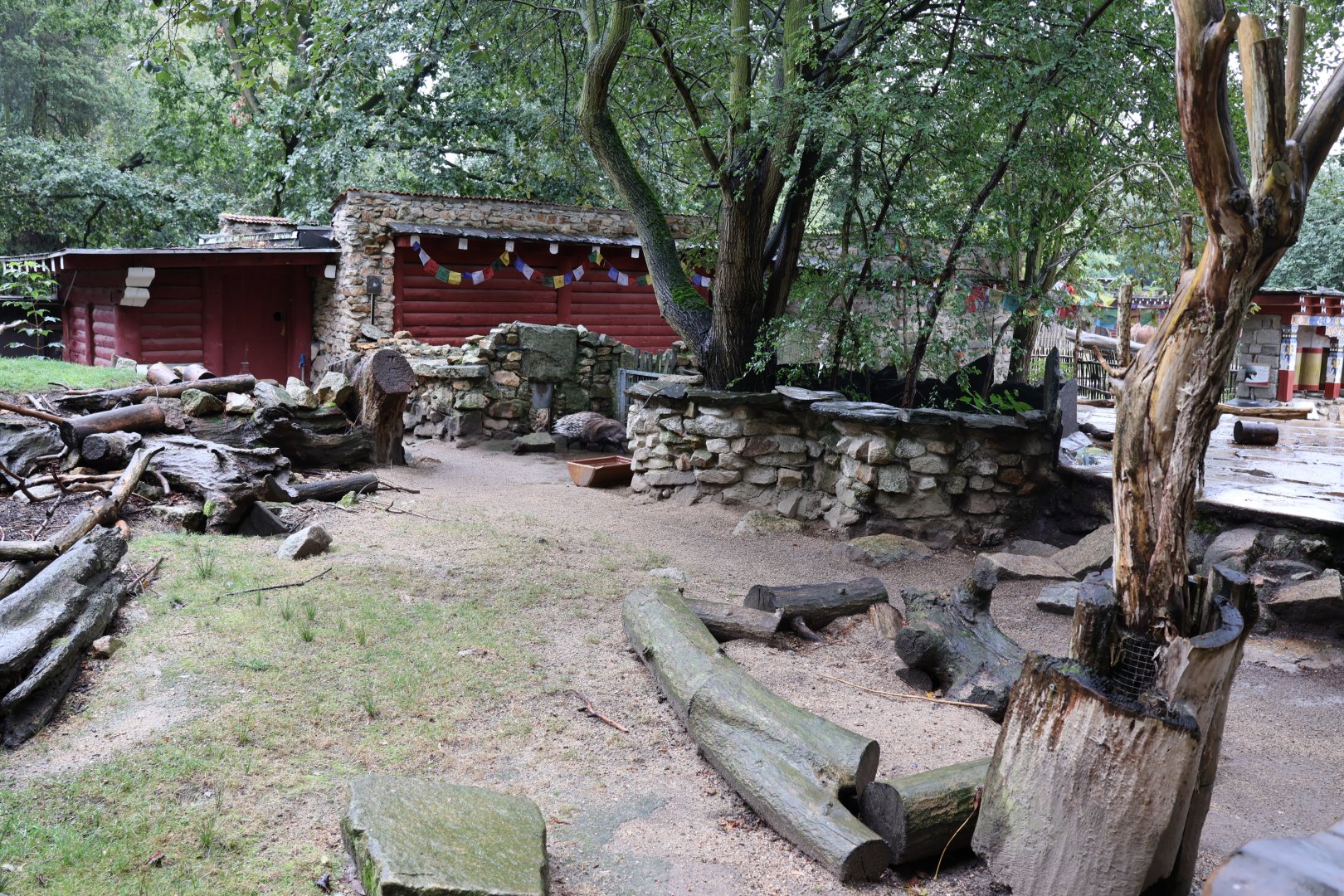 Tibetan Village - Indian Crested Porcupine enclosure