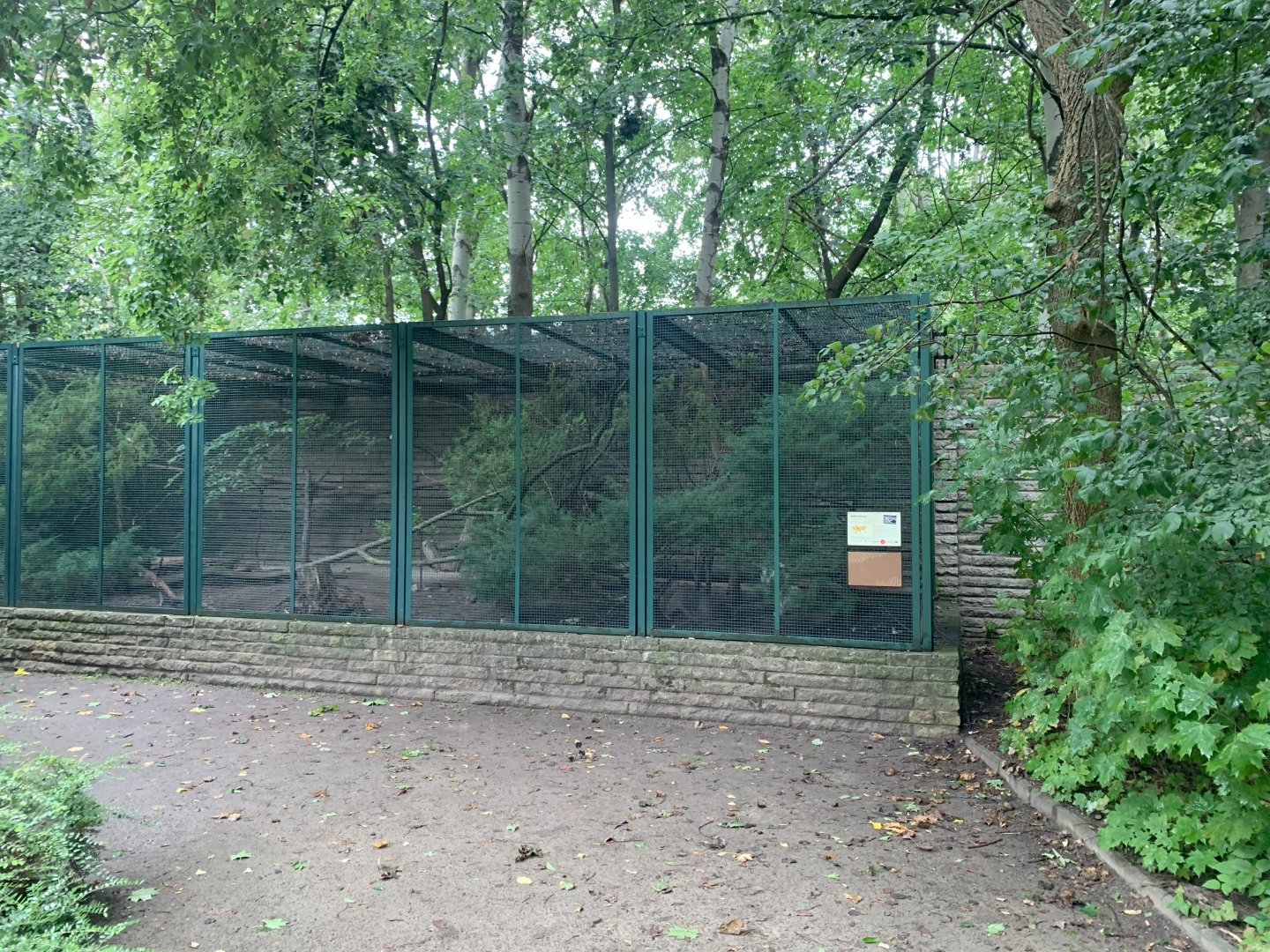 Tibetan White-eared Pheasant enclosure (example pheasantry enclosure)