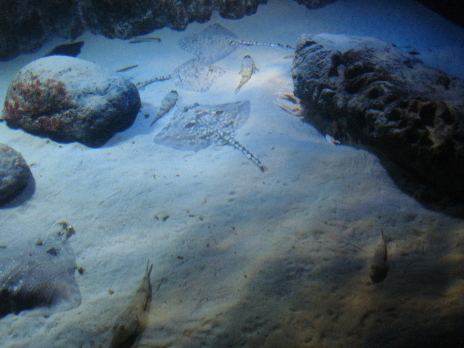 Tidal reach tank, 02/05/2009