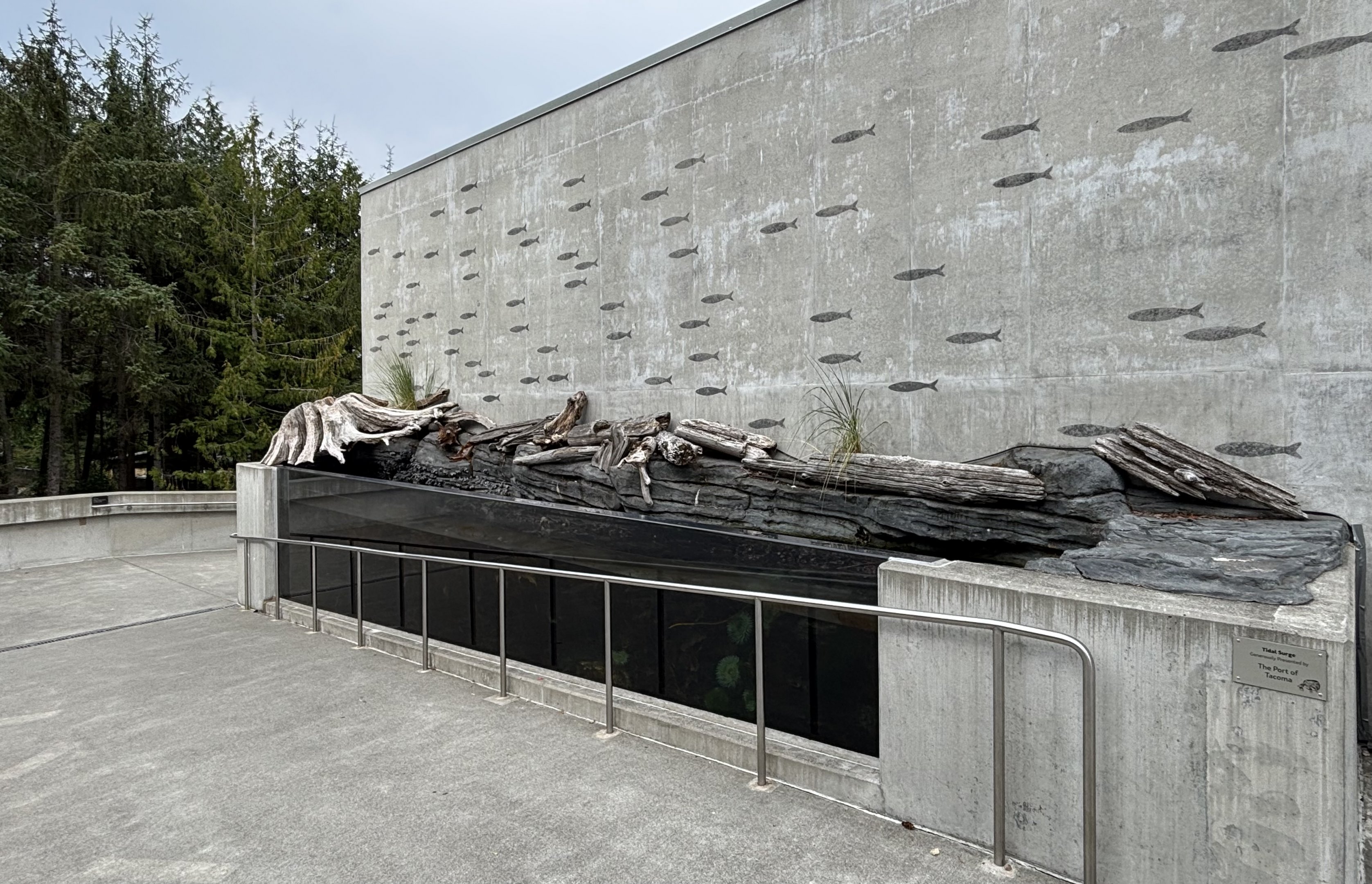 Tidal Surge Tank - Pacific Seas Aquarium