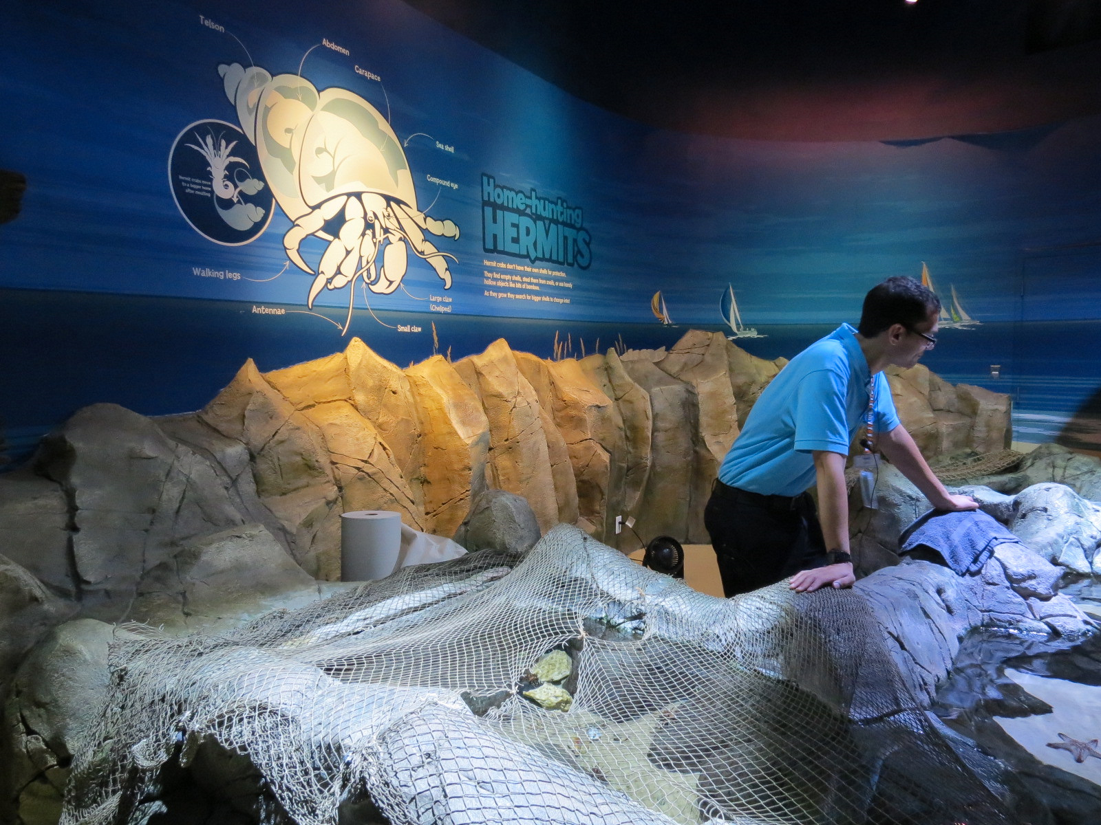 Tidal Touchpools Exhibit