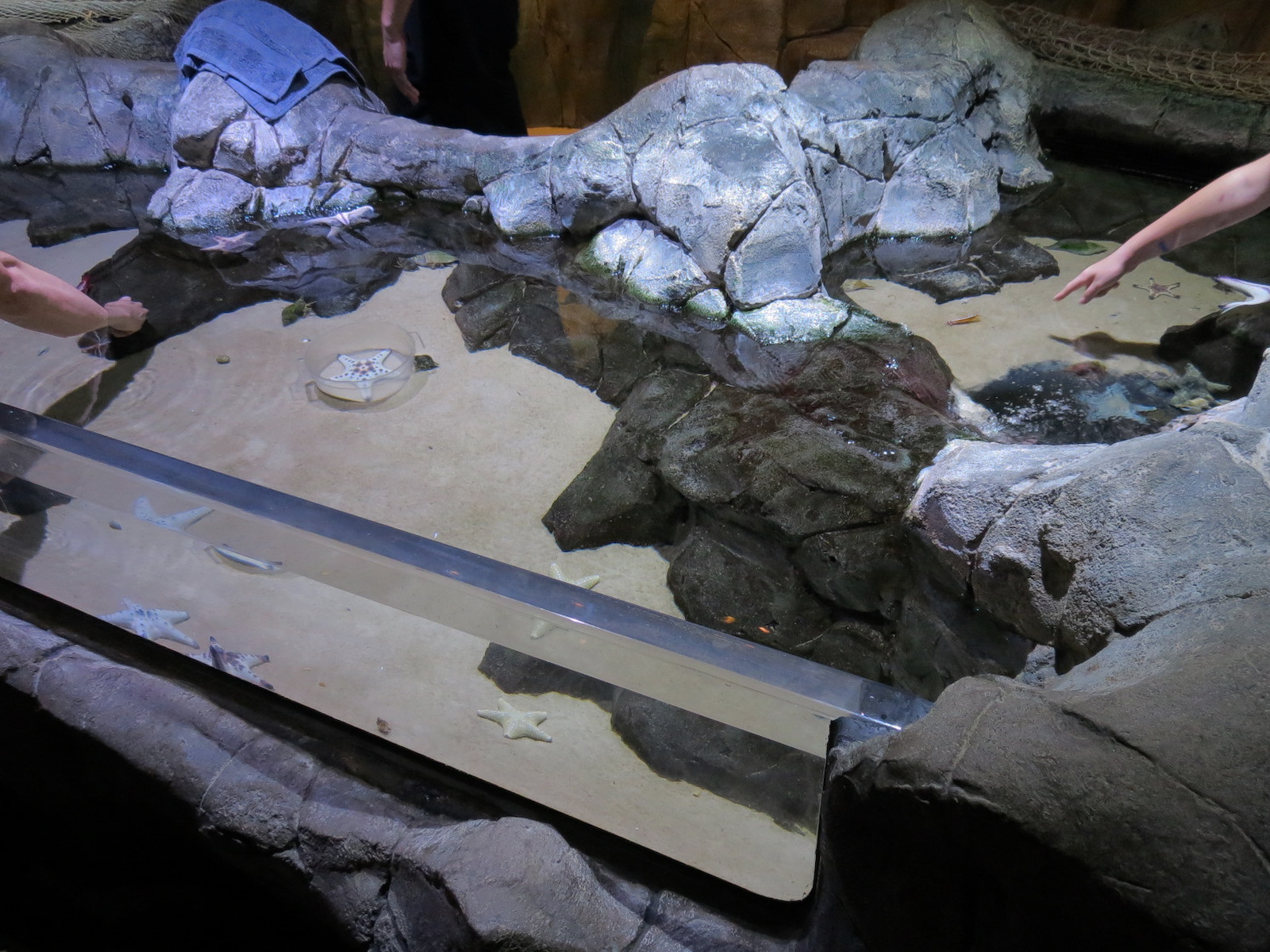 Tidal Touchpools Exhibit