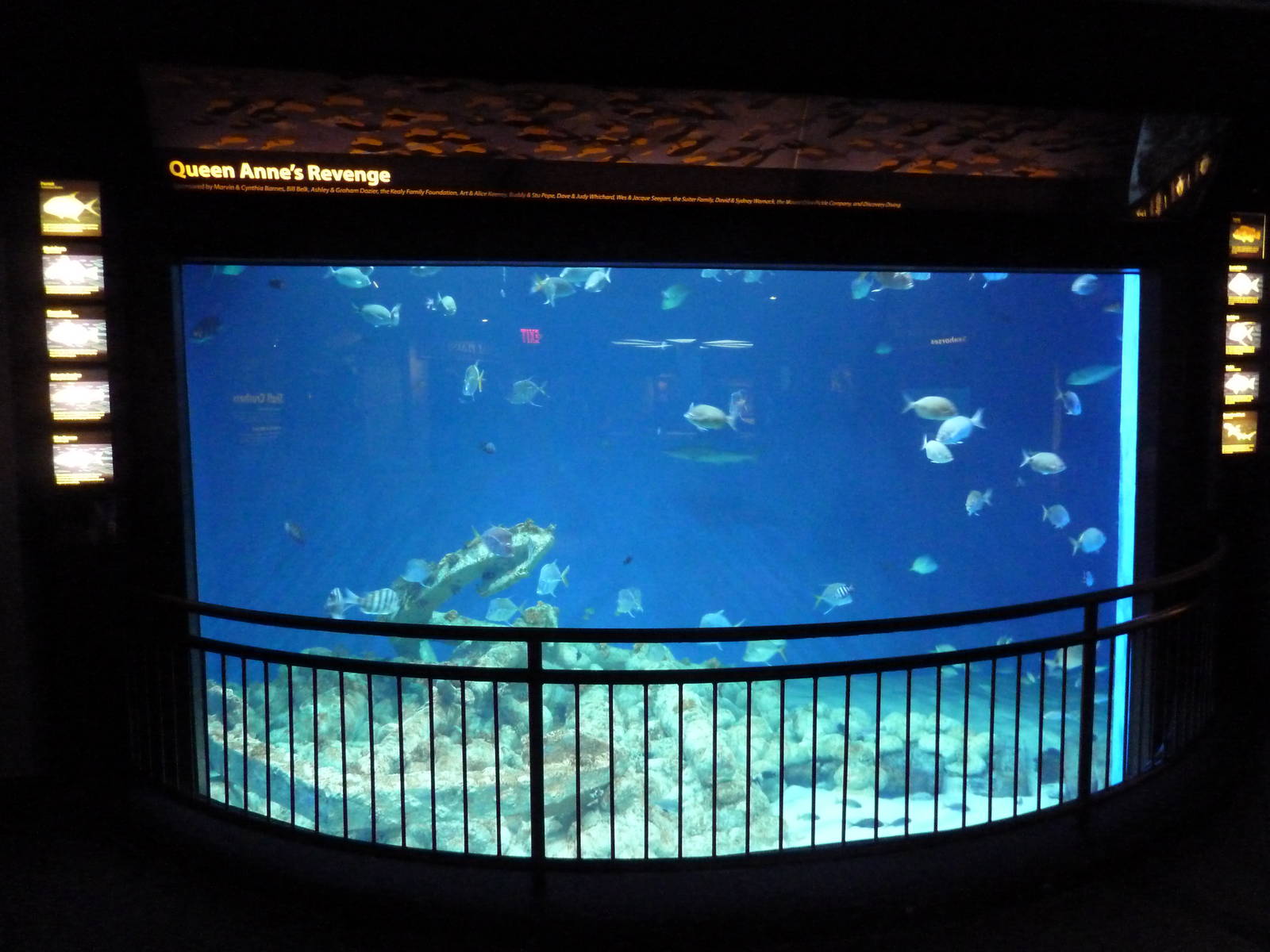 Tidal Waters Gallery Exhibit