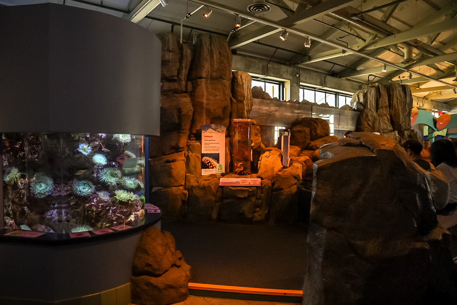 Tidal Zone (final look)