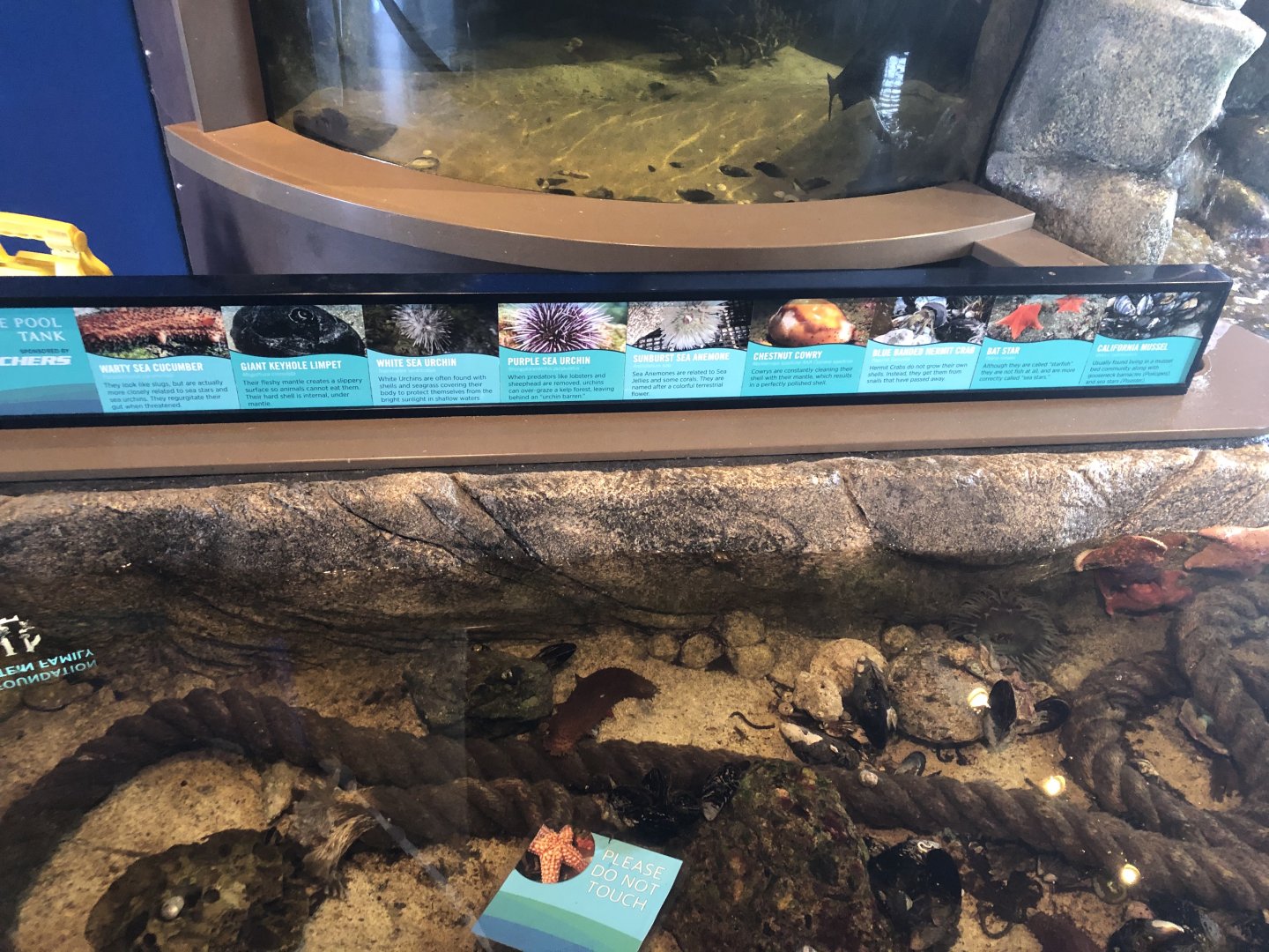 Tide Pool and Under the Pier Tanks