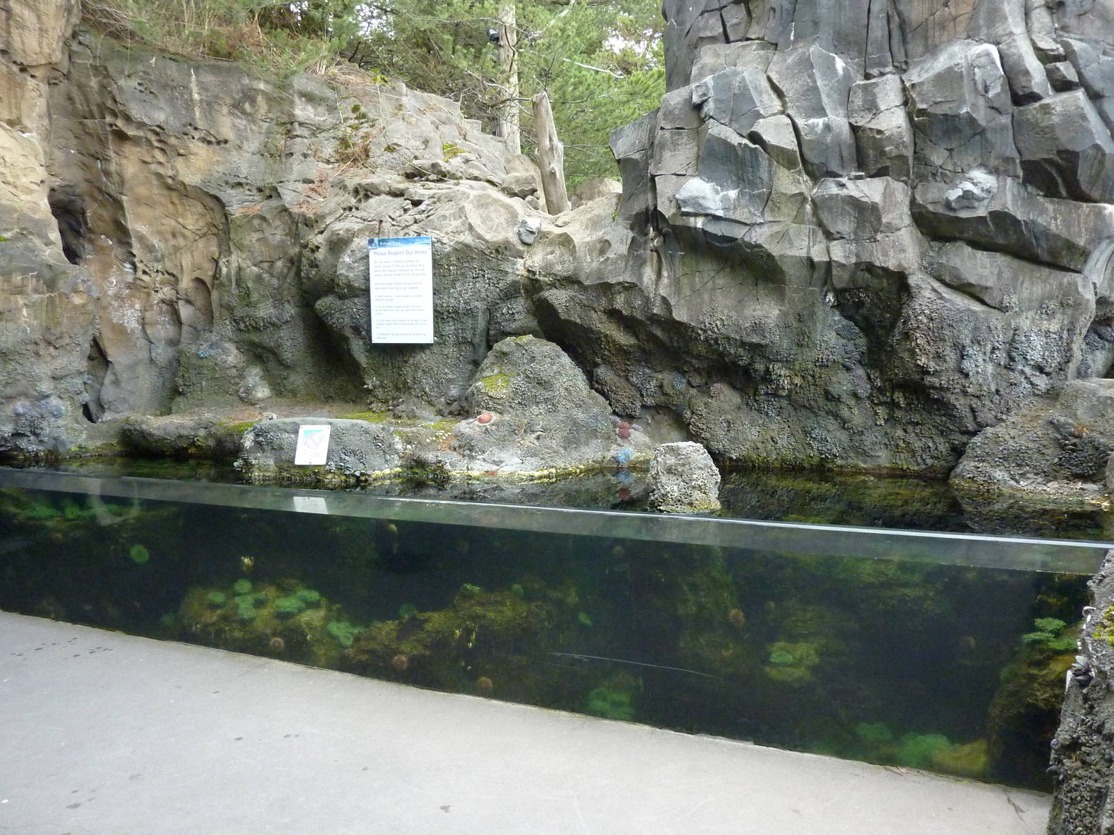Tide Pool Exhibit