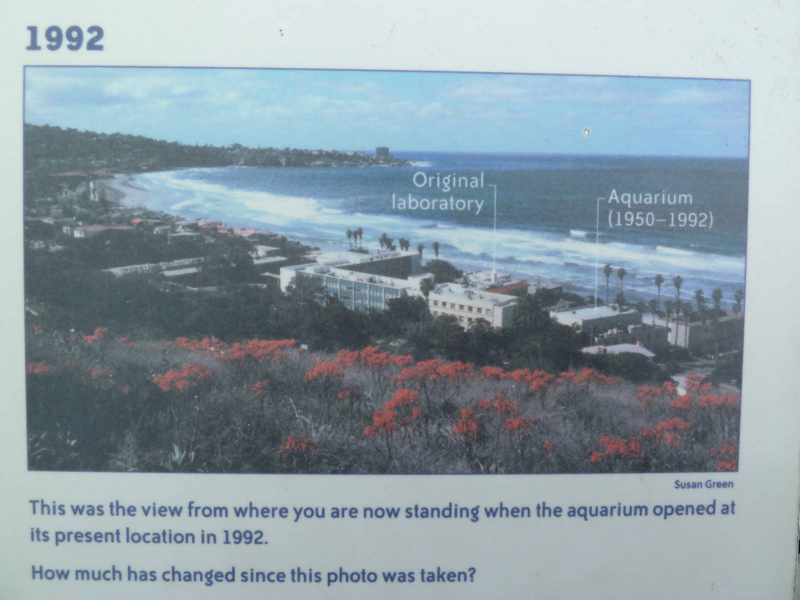 Tide Pool Plaza - 1992 Photo