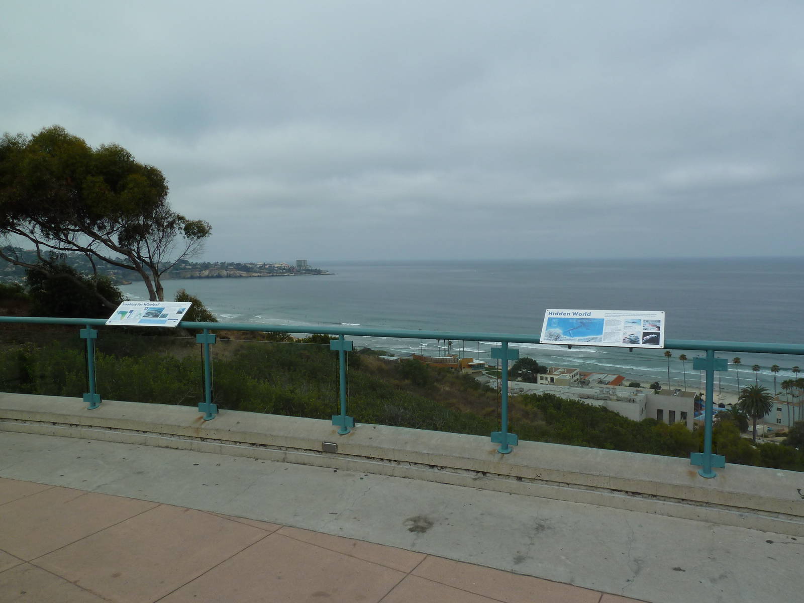 Tide Pool Plaza - Scenic View