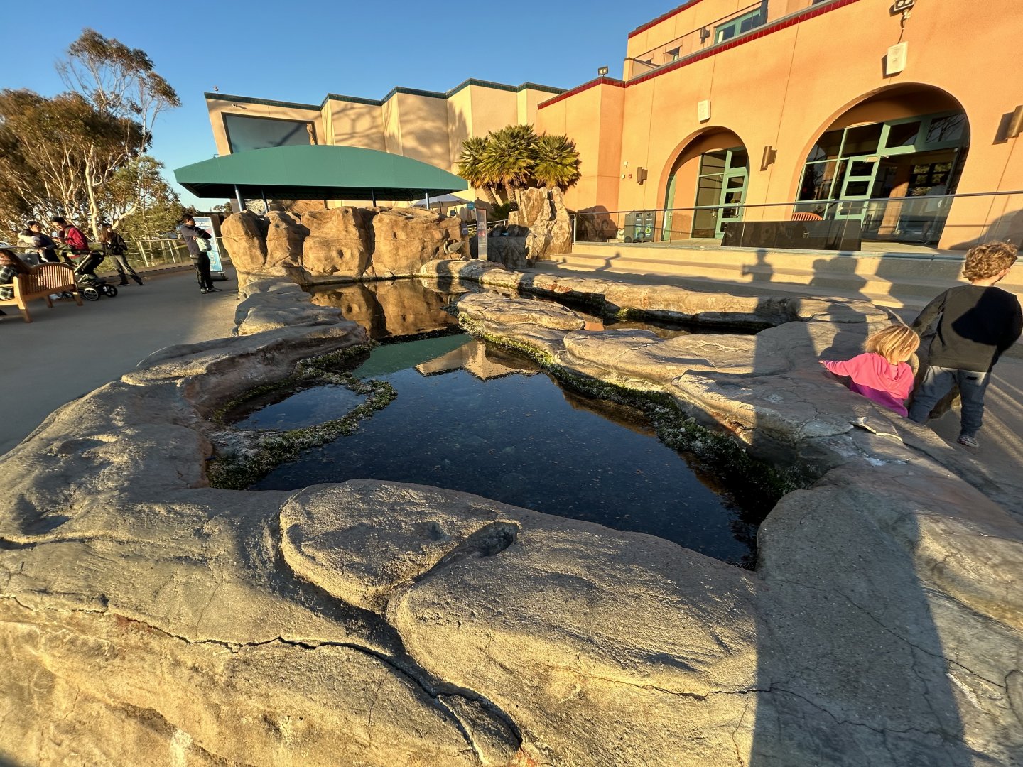 Tide Pool Plaza