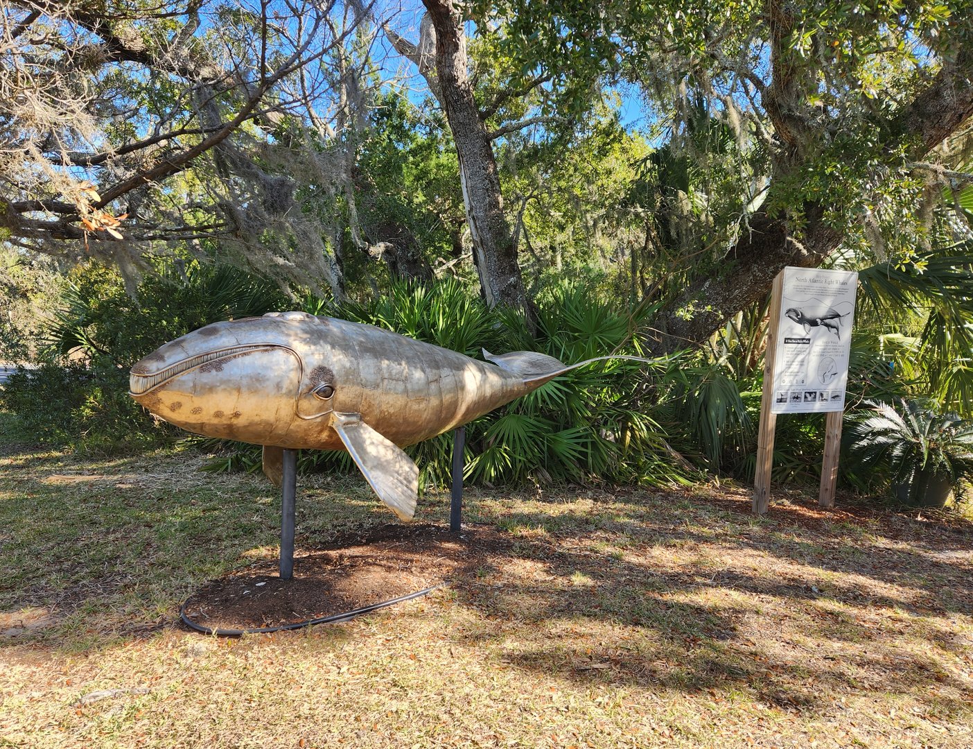 Tidelands Nature Center - The Metal Whale