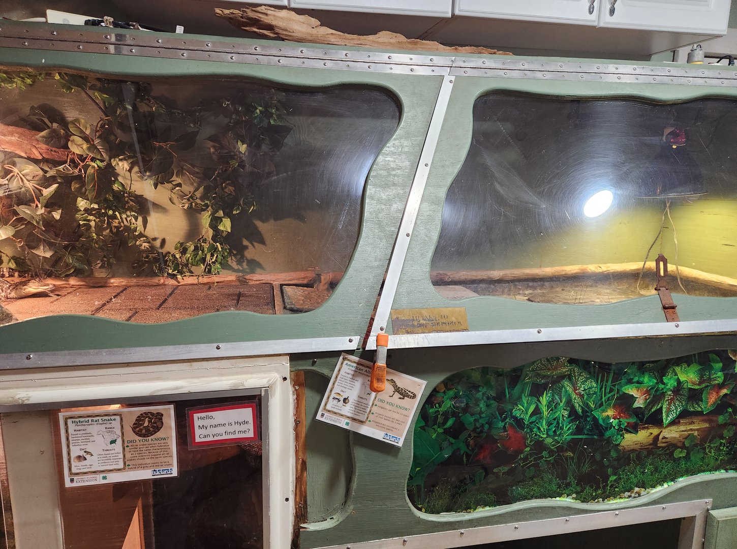 Tidelands Nature Center - Weird exhibit stack