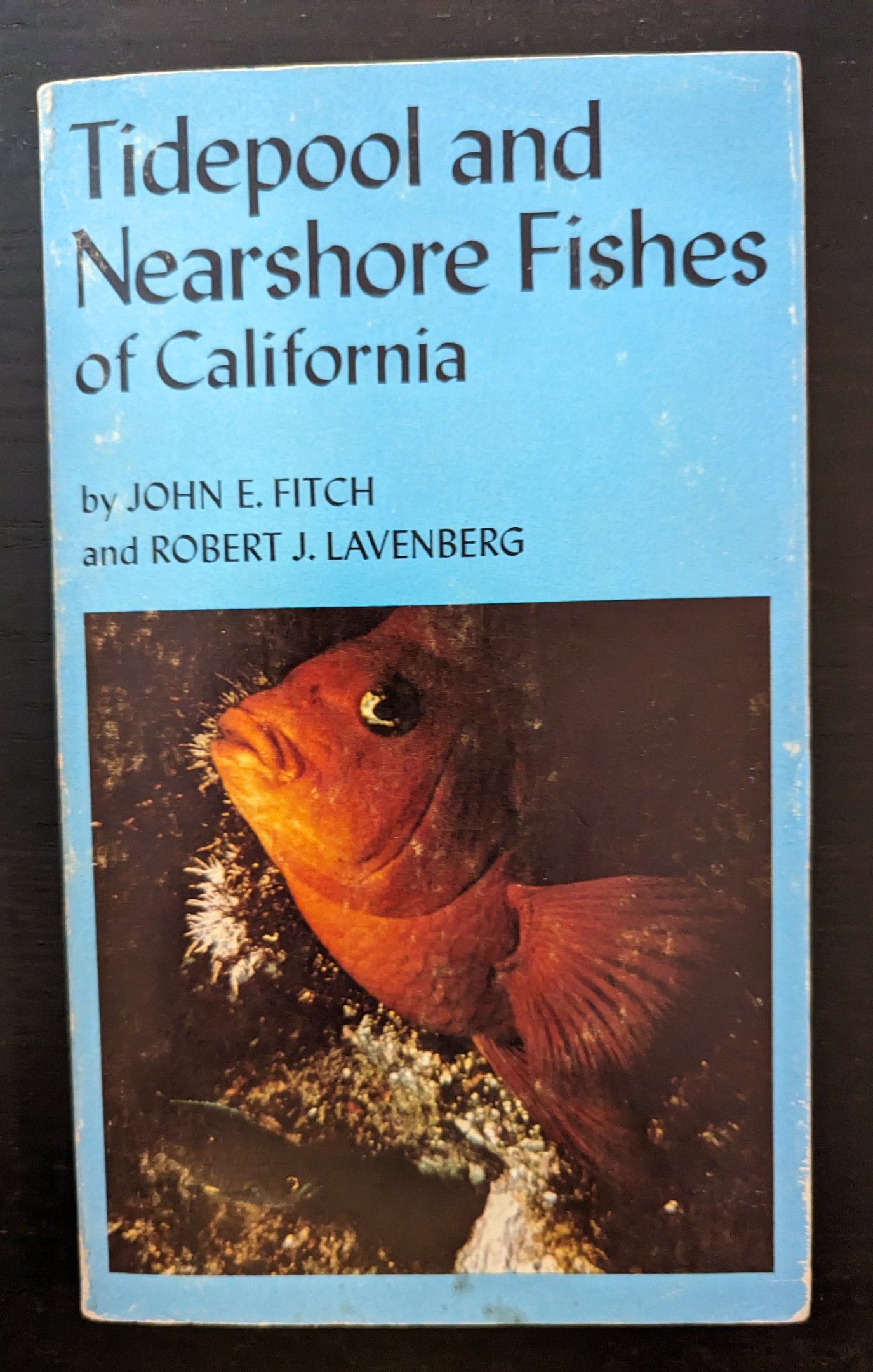 Tidepool and Nearshore Fishes of California