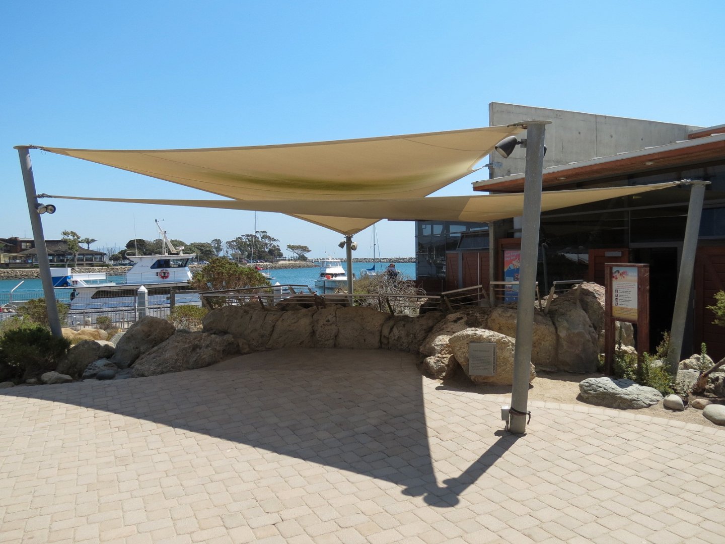 Tidepool Live Exhibit