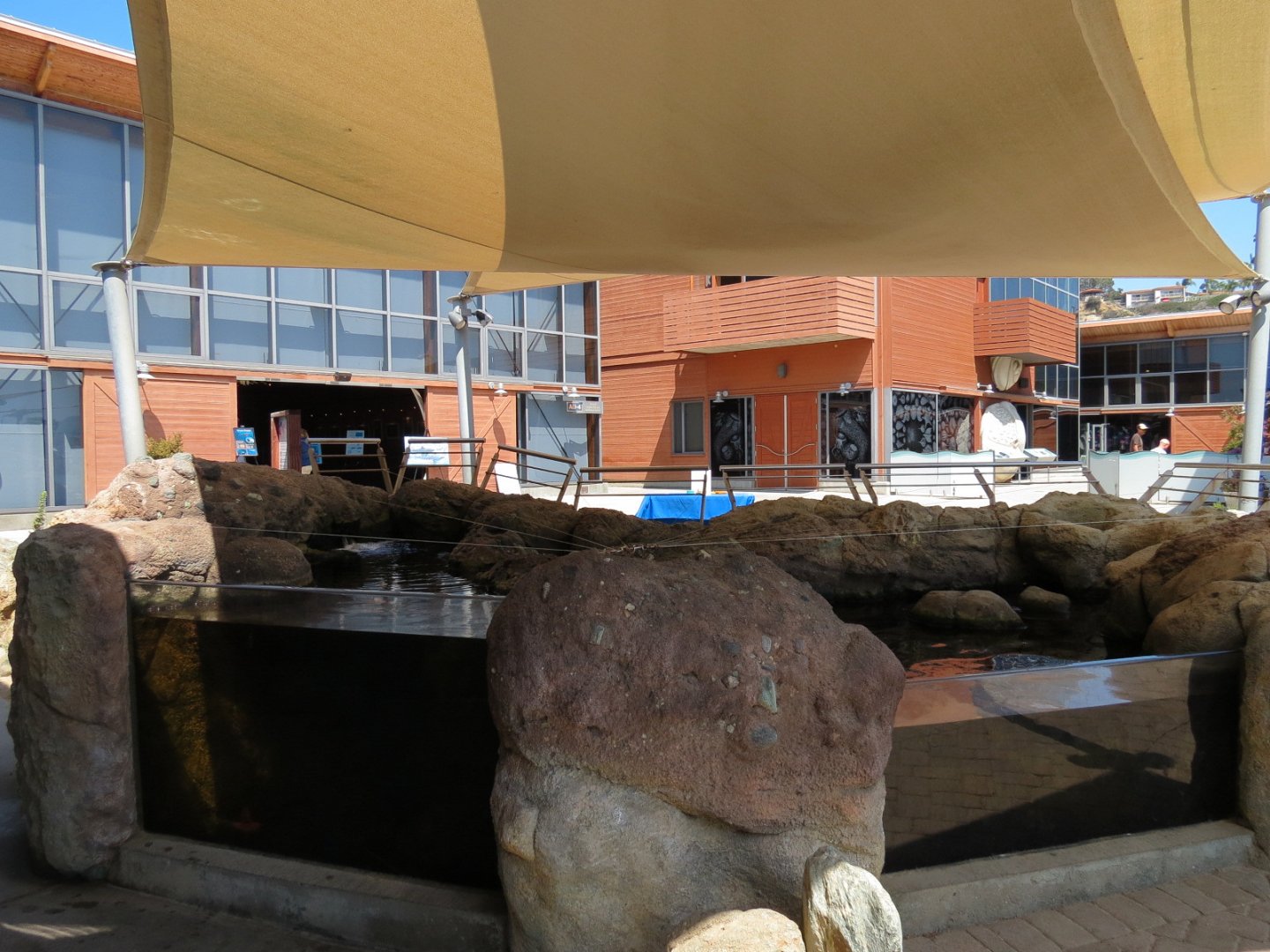 Tidepool Live Exhibit