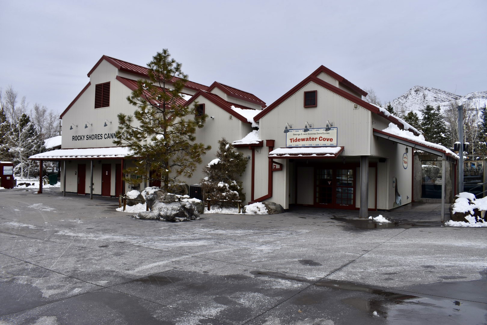 Tidewater Cove - Rocky Shores