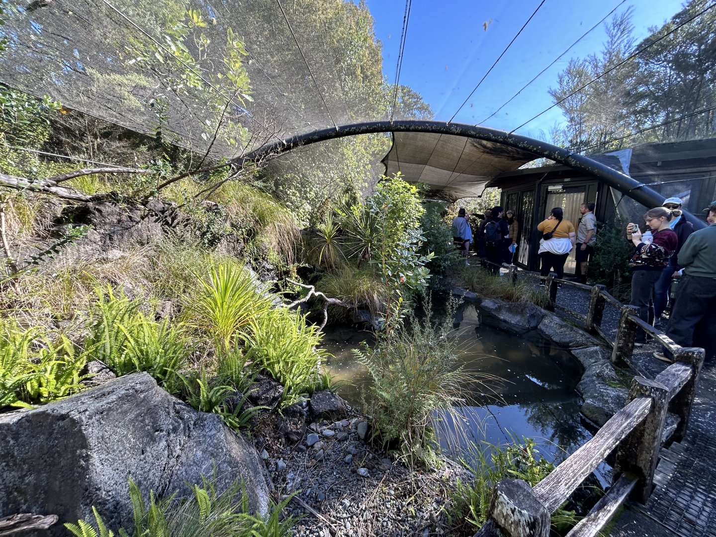 Tieke Aviary - Te Wao Nui