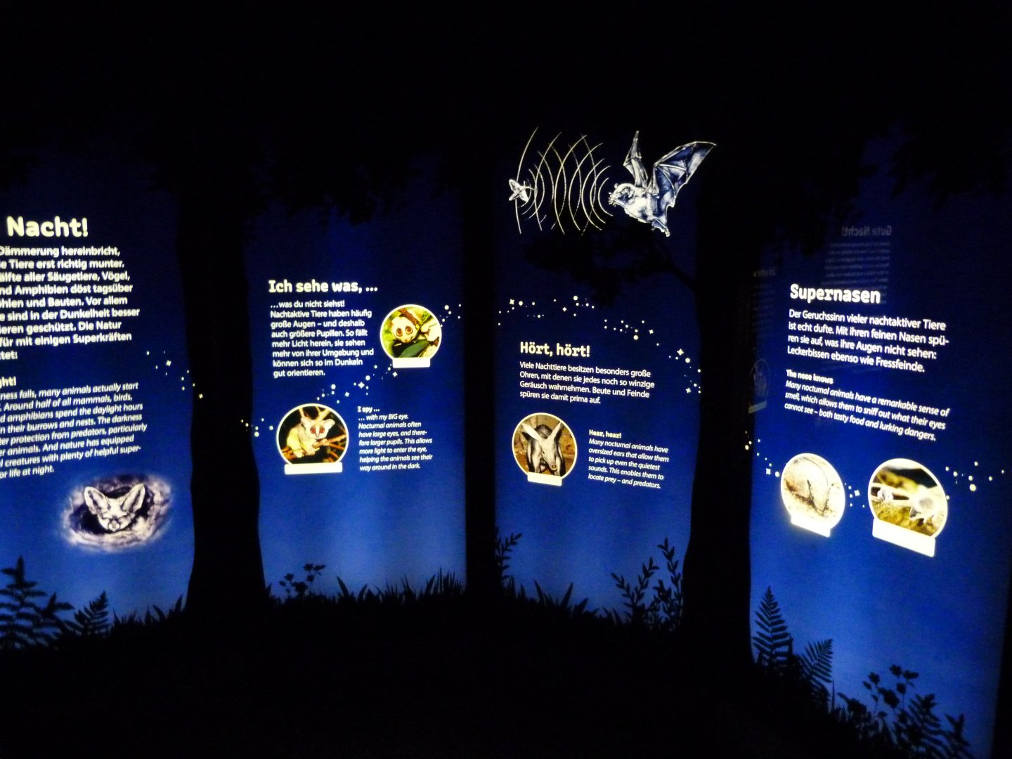 "Tiere der Nacht" entrance sign -Zoologischer Garten Berlin (2024)