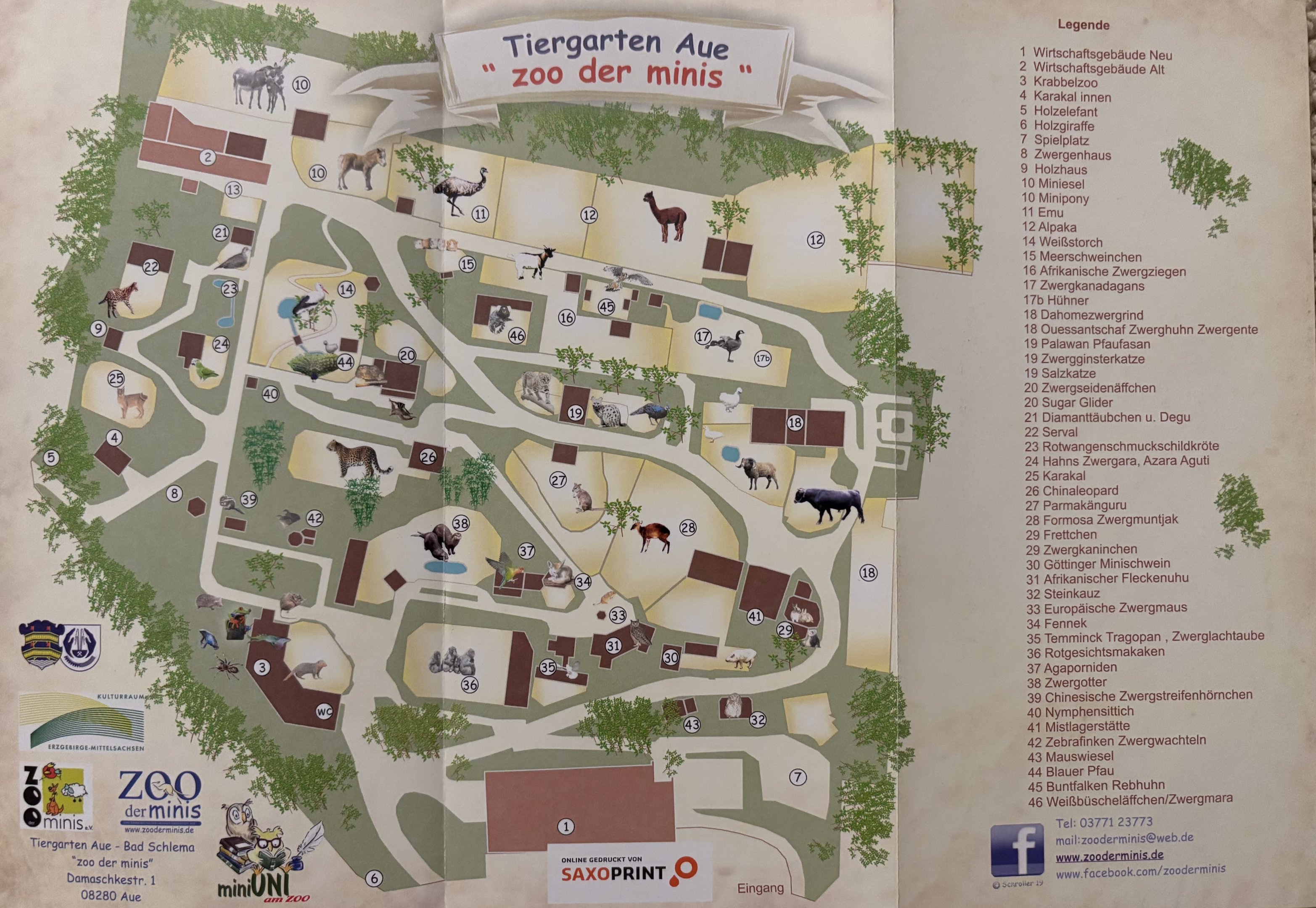 Tiergarten Aue Map - 2022