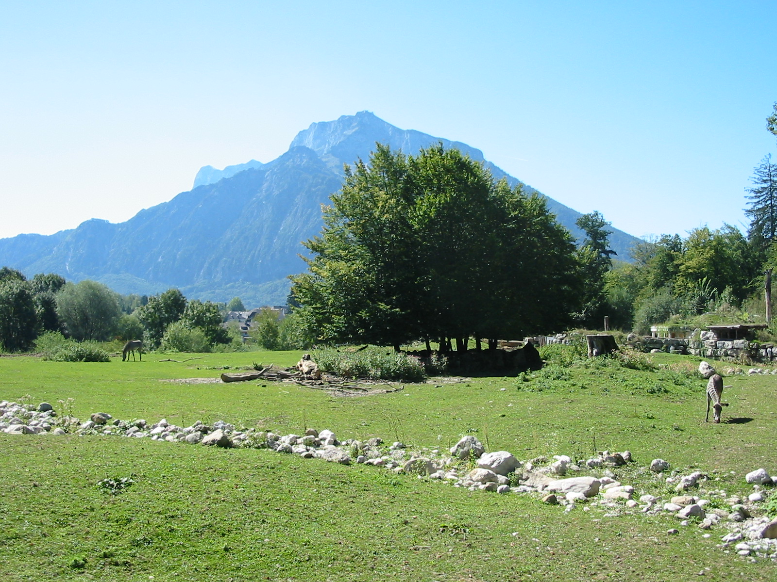 Tiergarten Hellbrunn - Incredible view from the Savannah exhibit