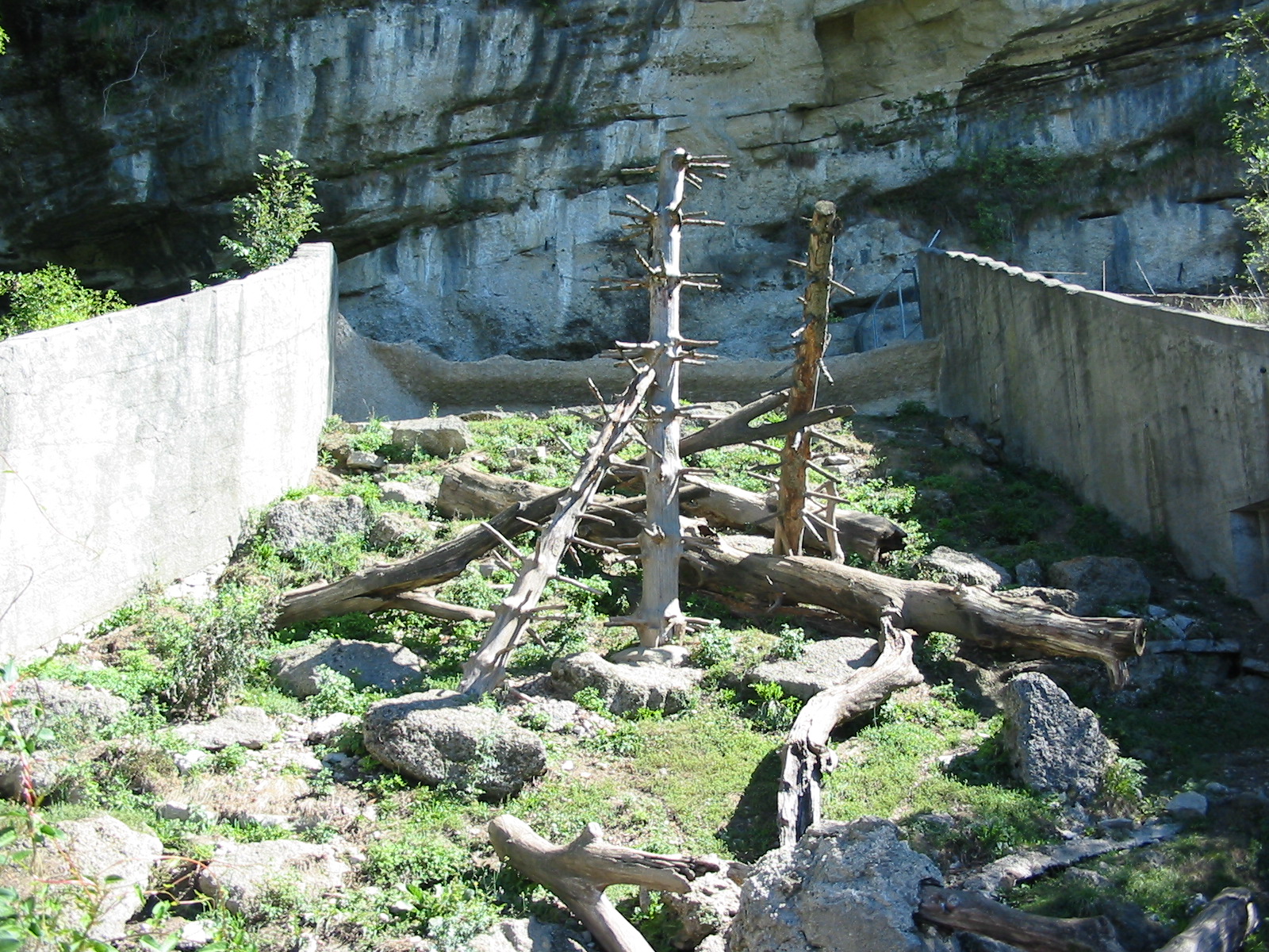 Tiergarten Hellbrunn - Wolverine exhibit