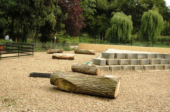 Tiergarten Kleve (D) Goats 2008