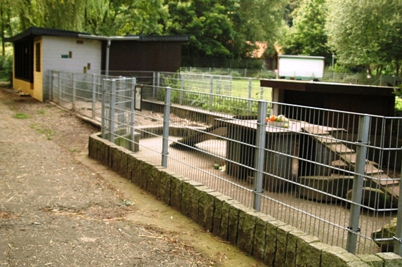 Tiergarten Kleve (D) Porcupines 2008