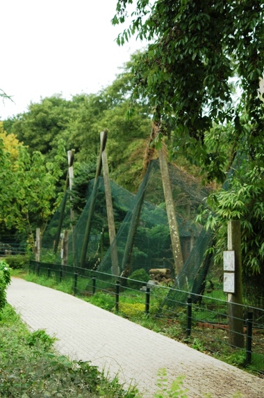 Tiergarten Kleve (D) Predatory birds 2008