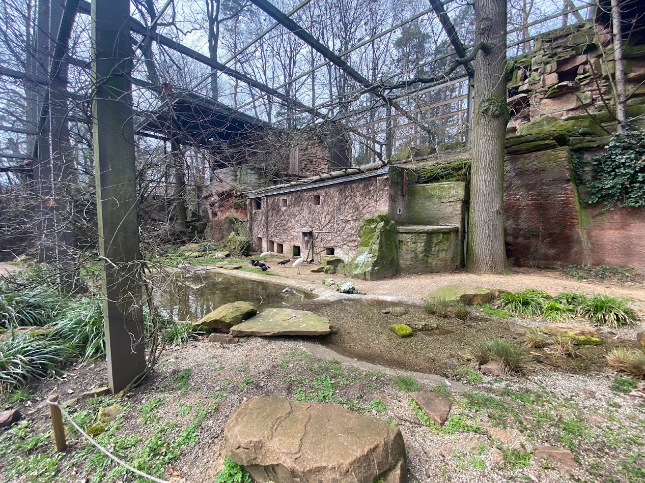 Tiergarten Nürnberg- aviary- 2023